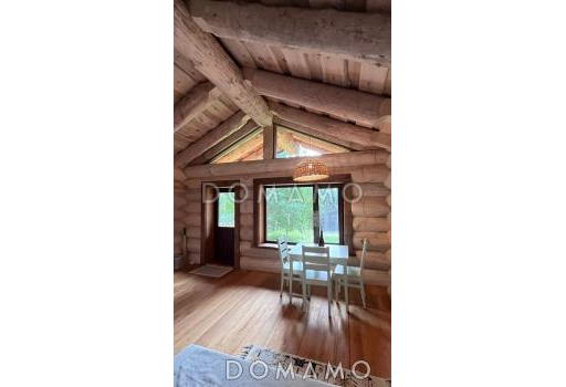 Лесной дух  / Фасад 4