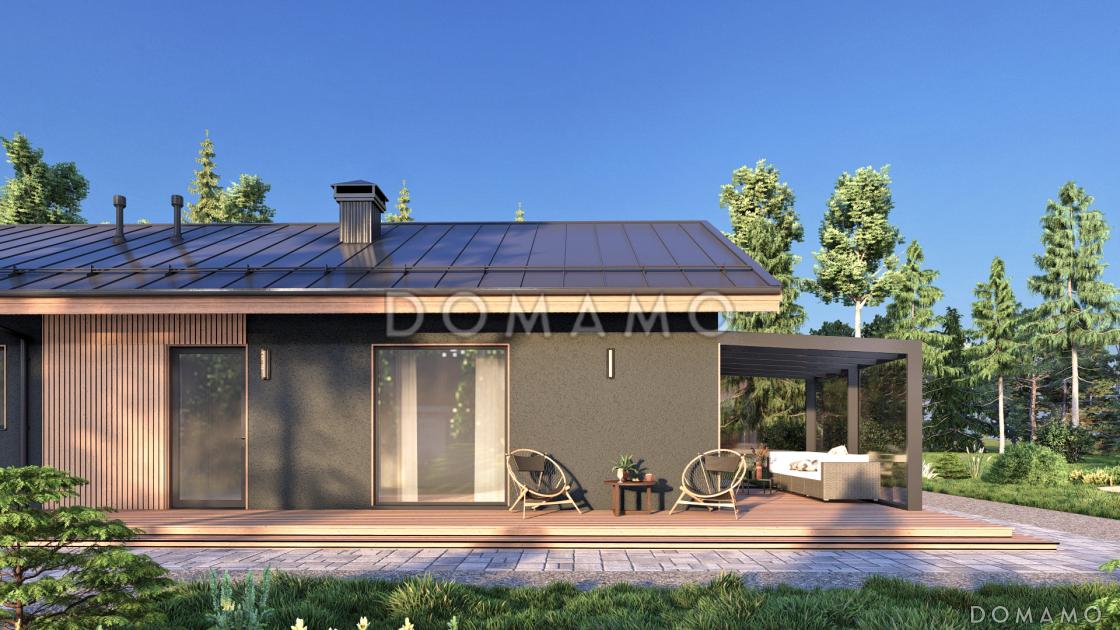 Пенаты S Блэк Оук / 2