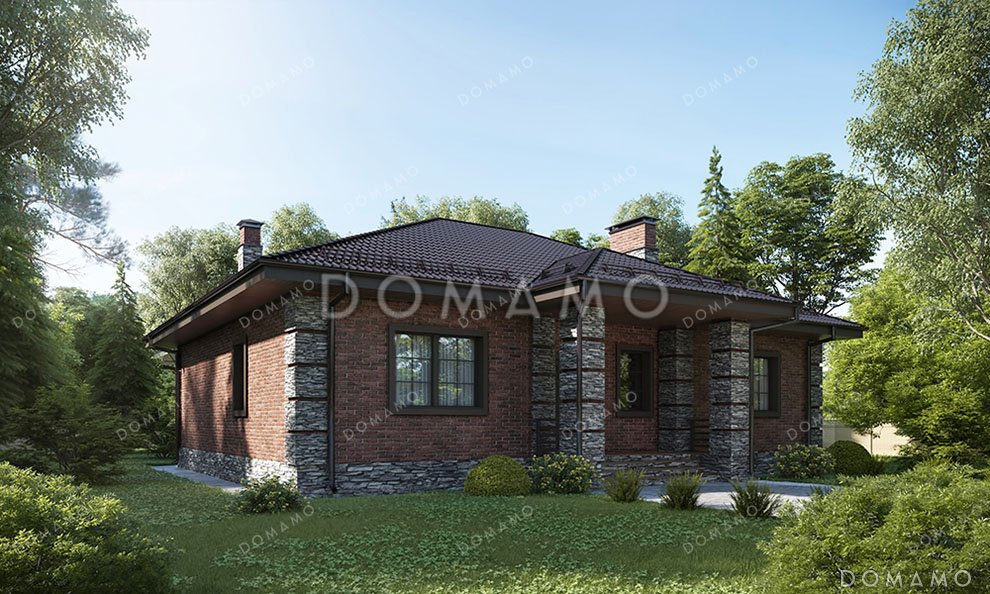 Проект одноэтажного дома с просторной кухней-гостиной / 1