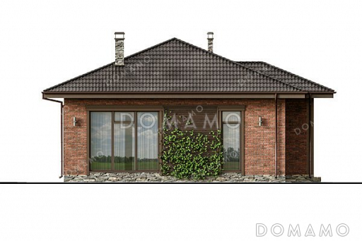 Проект одноэтажного дома с большой гостиной / Фасад 4