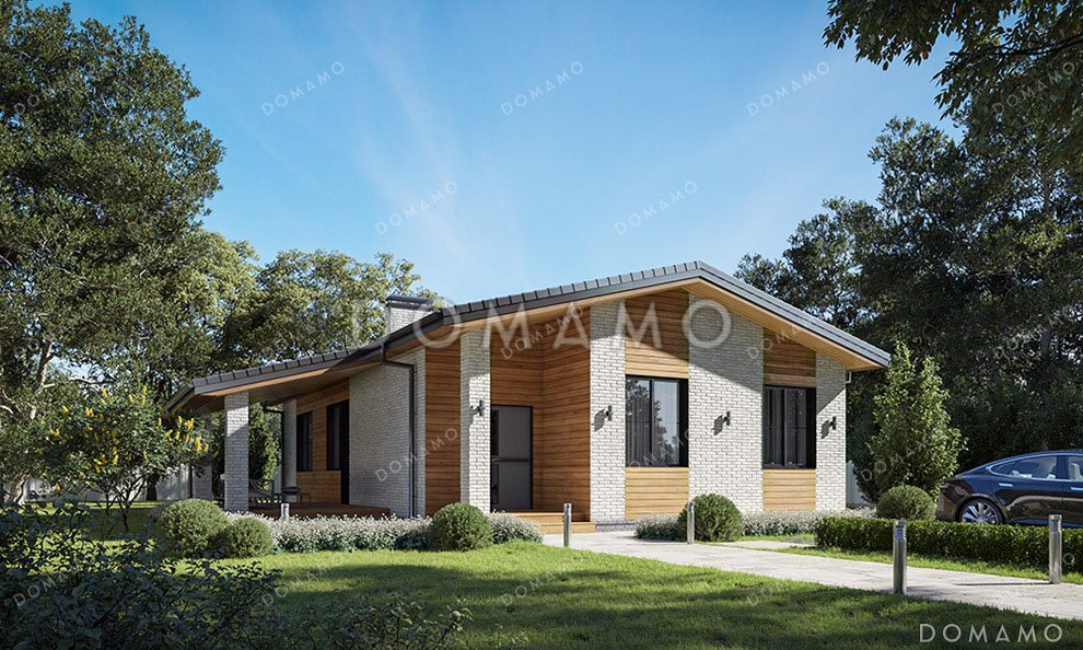 Проект одноэтажного дома с просторной гостиной и террасой / 1