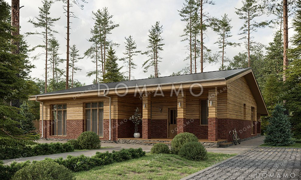 Проект одноэтажного дома с просторной гостиной и террасой / 2