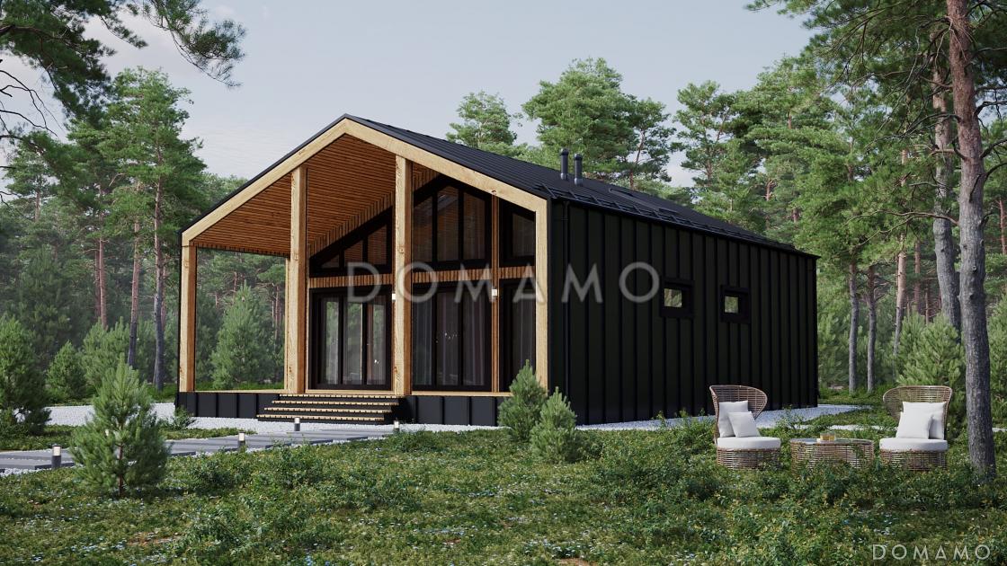 Современный каркасный дом в стиле Барнхаус  / 2