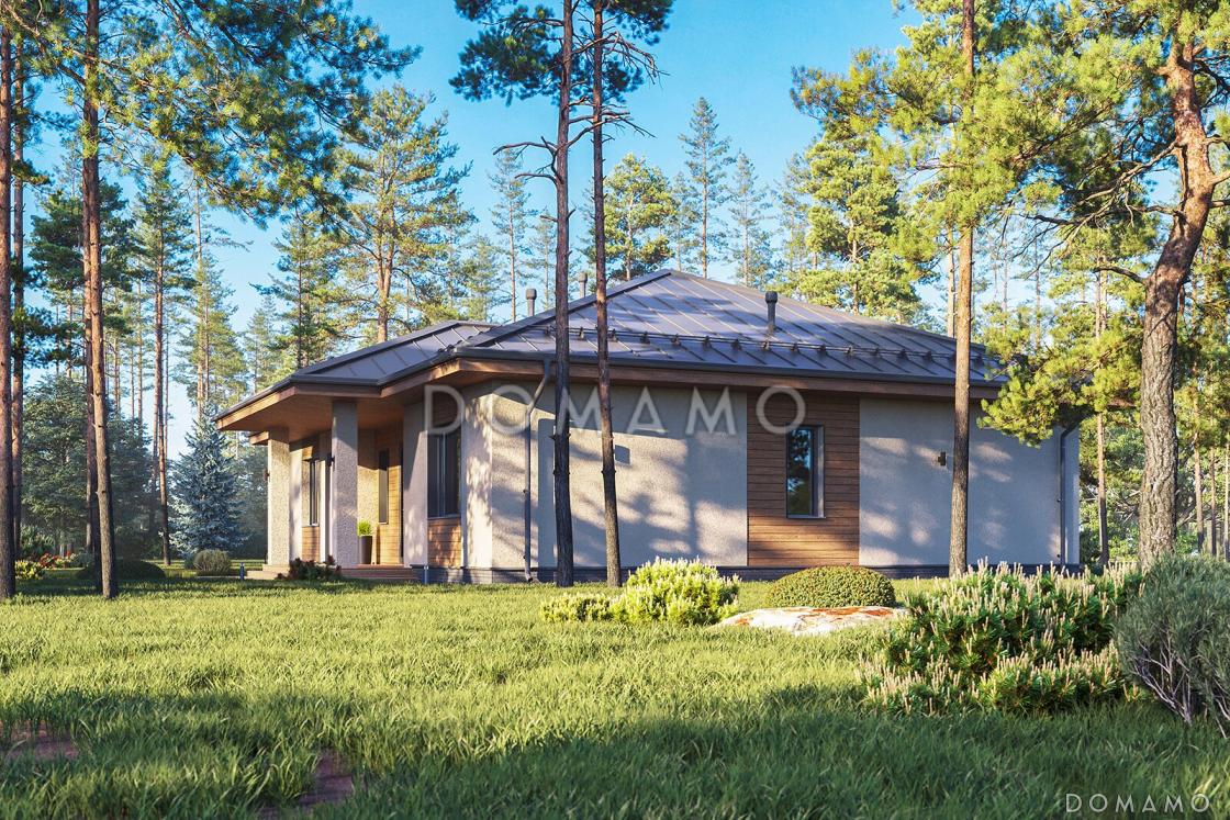 Проект каркасного дома в стиле Райта с тремя спальнями и просторной столовой-гостиной / 10