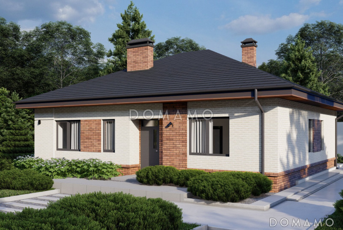 Проект загородного дома с террасой, двумя санузлами, кухней и гостиной без перегородки