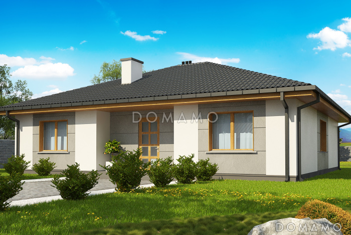 Проект одноэтажного дома с выделенной частной зоной, террасой, большой кухней, кладовой