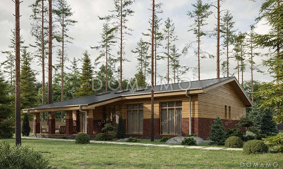 Проект одноэтажного дома с просторной гостиной и террасой / 1