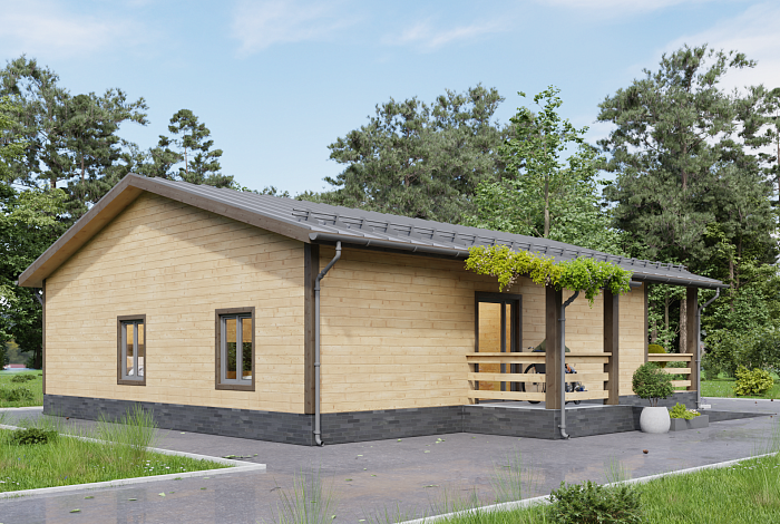 Дом, адаптированный для маломобильных людей, 10х10м. 