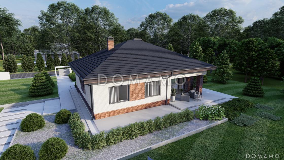 Проект одноэтажного дома с террасой, двумя санузлами, кухней и гостиной без перегородки / 1