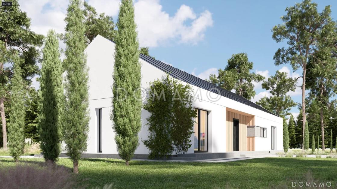 Проект дома в стиле барнхаус с террасой и панорамными окнами / 4