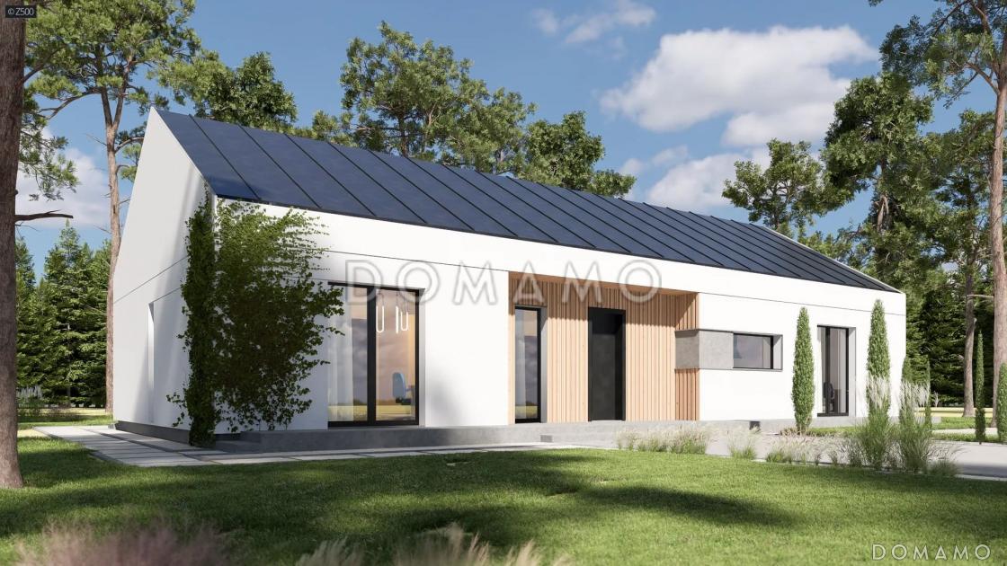 Проект кирпичного дома в стиле барнхаус с 4 спальнями и большой гостиной / 2