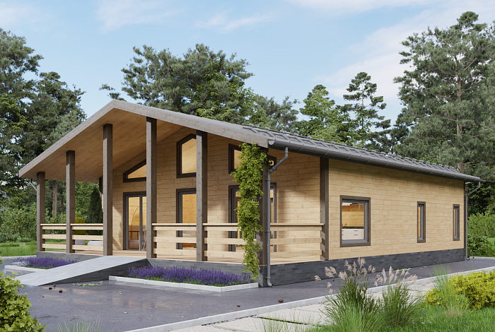 Дом, адаптированный для маломобильных людей, 10х10м. 