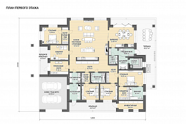 Проект дома с открытой планировкой дневной зоны, кабинетом, мастер-спальней и спа-зоной / План 1 этажа