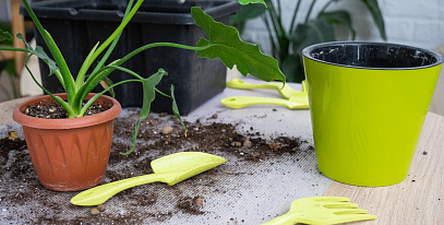 Что делать с прошлогодними кашпо и горшками весной