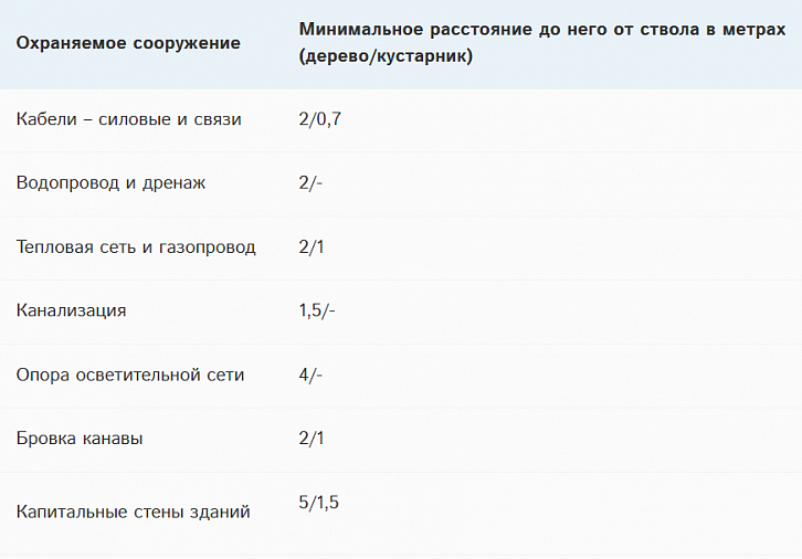 Какие деревья можно сажать на загородном участке