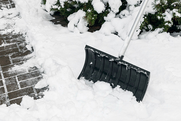 Почему чистить до земли не всегда правильно