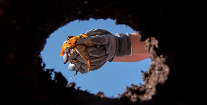 Как сделать компостную яму на даче