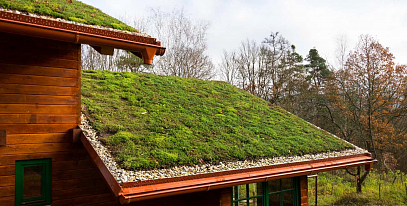 Зеленая кровля: виды и особенности