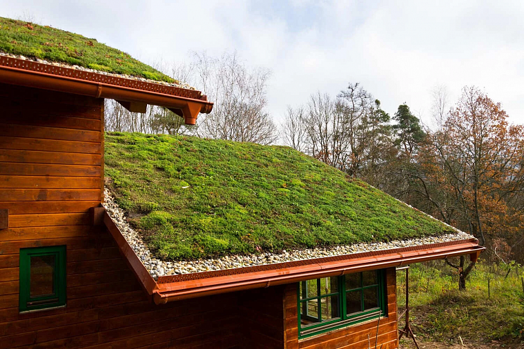 Зеленая кровля: виды и особенности